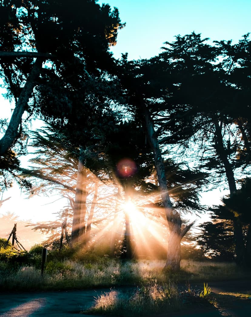 The Morning Routine Revolution: What Actually Works and Why